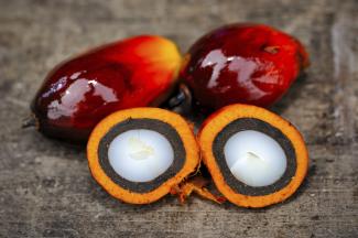 Palm oil